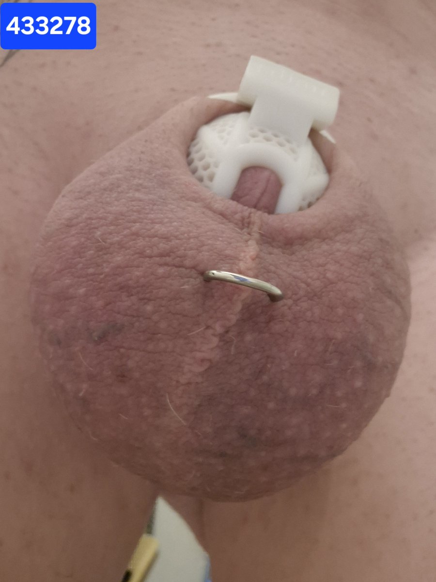TantraOf's tweet photo. #teamlocked #smallcock #littledick #cucky #keyholder @YourLittleSwee1 #sph #day14 #chastity #microcage #frustration #locktober2026 #useless #tinycock #caged #locked408 #queen #tease #denial #milking0 #ruined0 #flr #devotion #hotwife #humiliation #femdom #pussyfree https://t.co/iLZbQRQ5NJ