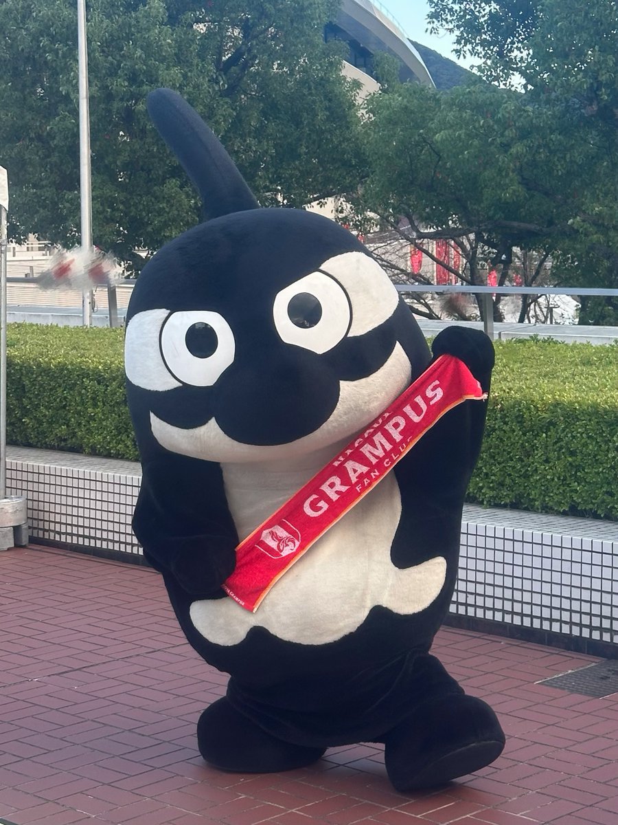 ux_xuchi's tweet photo. 今日のグランパスくん！かわいー(･ω･)ﾉ♥️

 #名古屋グランパス #grampus https://t.co/JHG1yz11W7