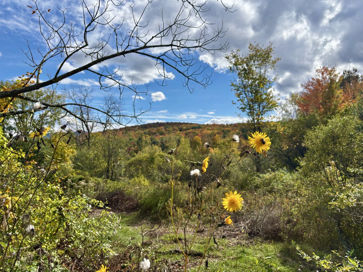 JohnCarzello's tweet photo. All is quiet in #Vermont. The beauty of nature speaks everything about the #LoveOfGod ❤️❤️❤️ https://t.co/s0hQzjJdhK