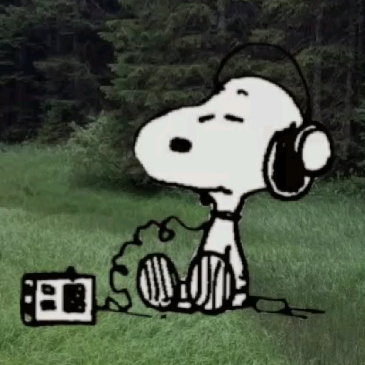 SnoopyArchiveHQ's tweet photo. https://t.co/CqYyOSs4AA