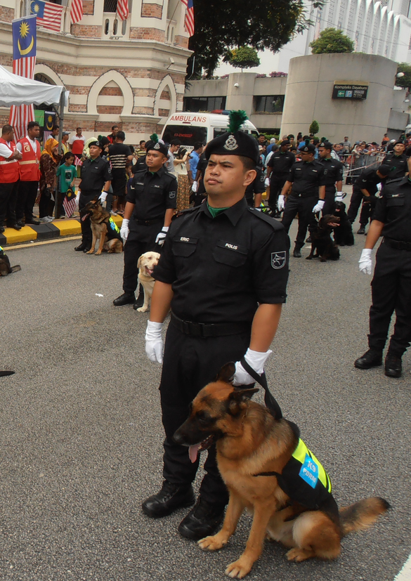 rdygg_dota2's tweet photo. "Police took my passport, took my phone, turned off the internet, turned off the PC."

🇹🇭 23Savage claims Kuala Lumpur police raided the Xipto bootcamp and handcuffed 🇮🇩 Fbz and 🇲🇾 Oli.

He says he had to win a game with Kez to prove he's an actual pro player... Must be real? https://t.co/KXSiMKORUU