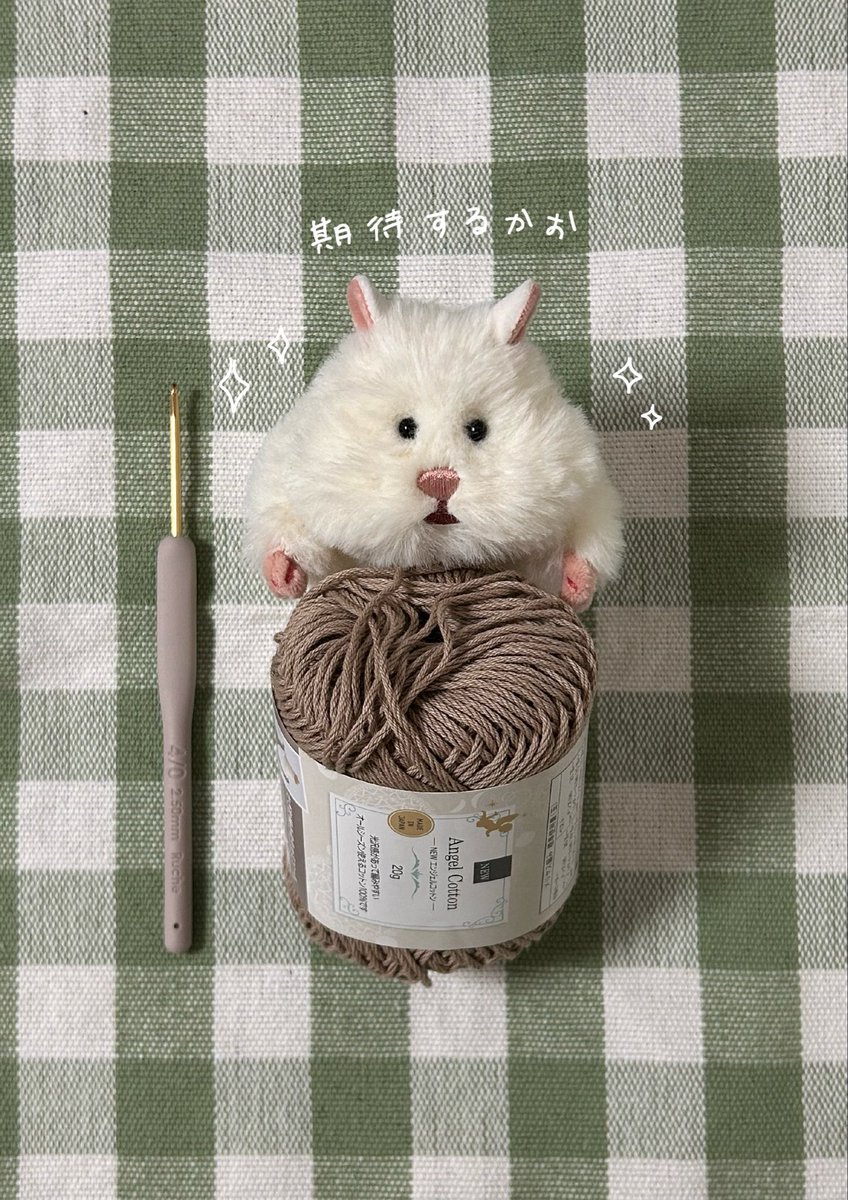 sibprwx's tweet photo. かわいいこのためならがんばれます

#はむにぎり #ぬい活 https://t.co/gS7mcOaCwM