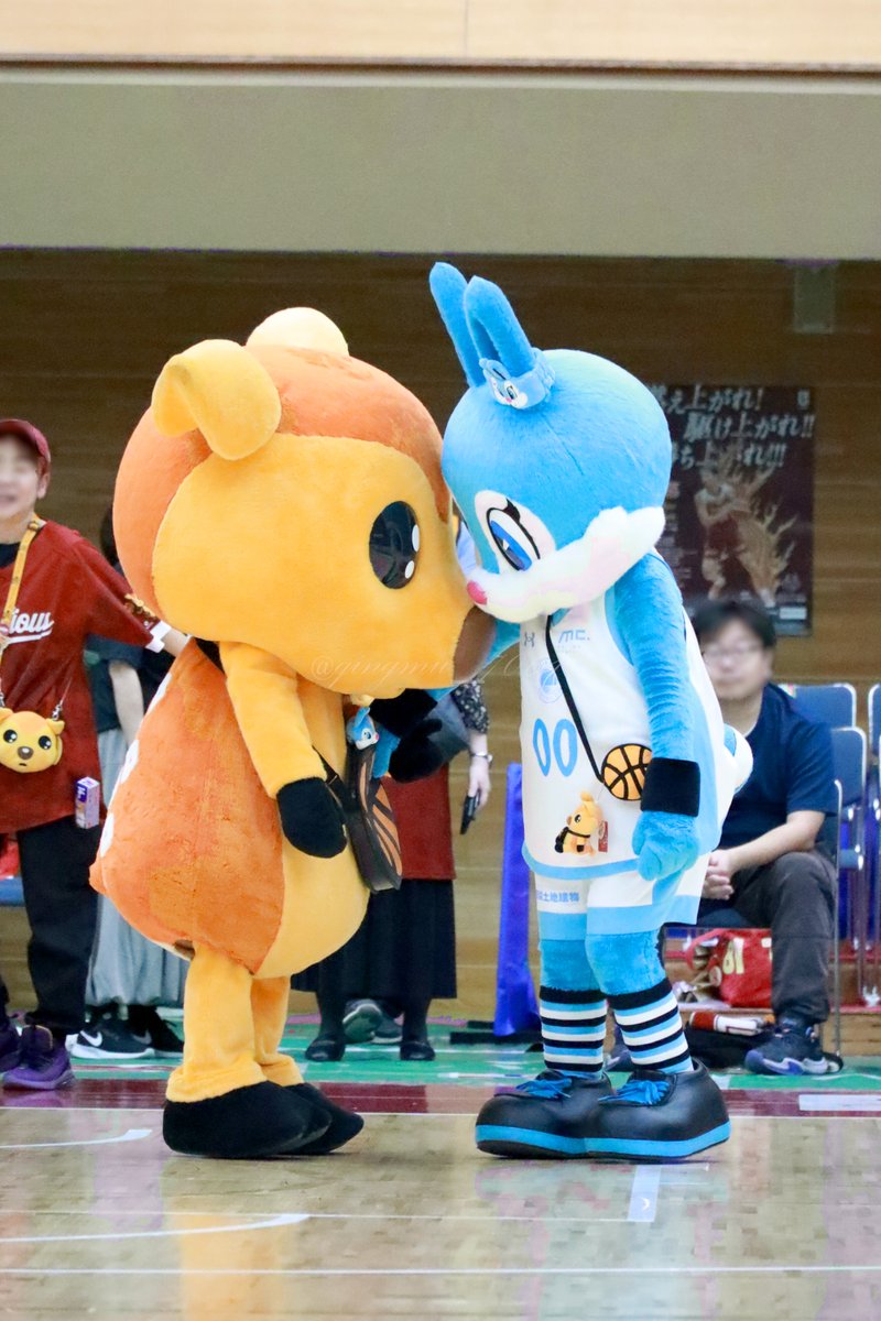 qingmu_7061's tweet photo. 20261009
１枚目：シュート外しちゃったシカッチェを慰めるユナイト
２枚目：おててつないでコート中央へ

かわいい…かわいい…💘
#シカッチェ　#ユナイト https://t.co/mxln9LCTwY