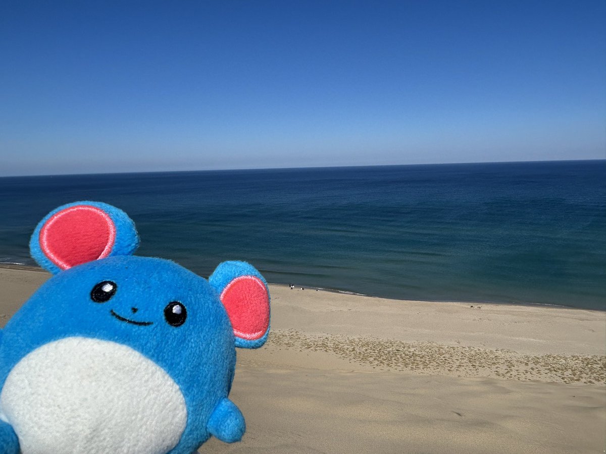 im2525im's tweet photo. 船で門司港に遊びに行ったりなど…
お次は鳥取！砂丘も海も雲ひとつなく晴れてよかった！潜も幾成も絶妙な距離感で喜んでます🤞
Freeの聖地でもあるらしい🏝️そういえばそうかも https://t.co/JvtNrBUNUv