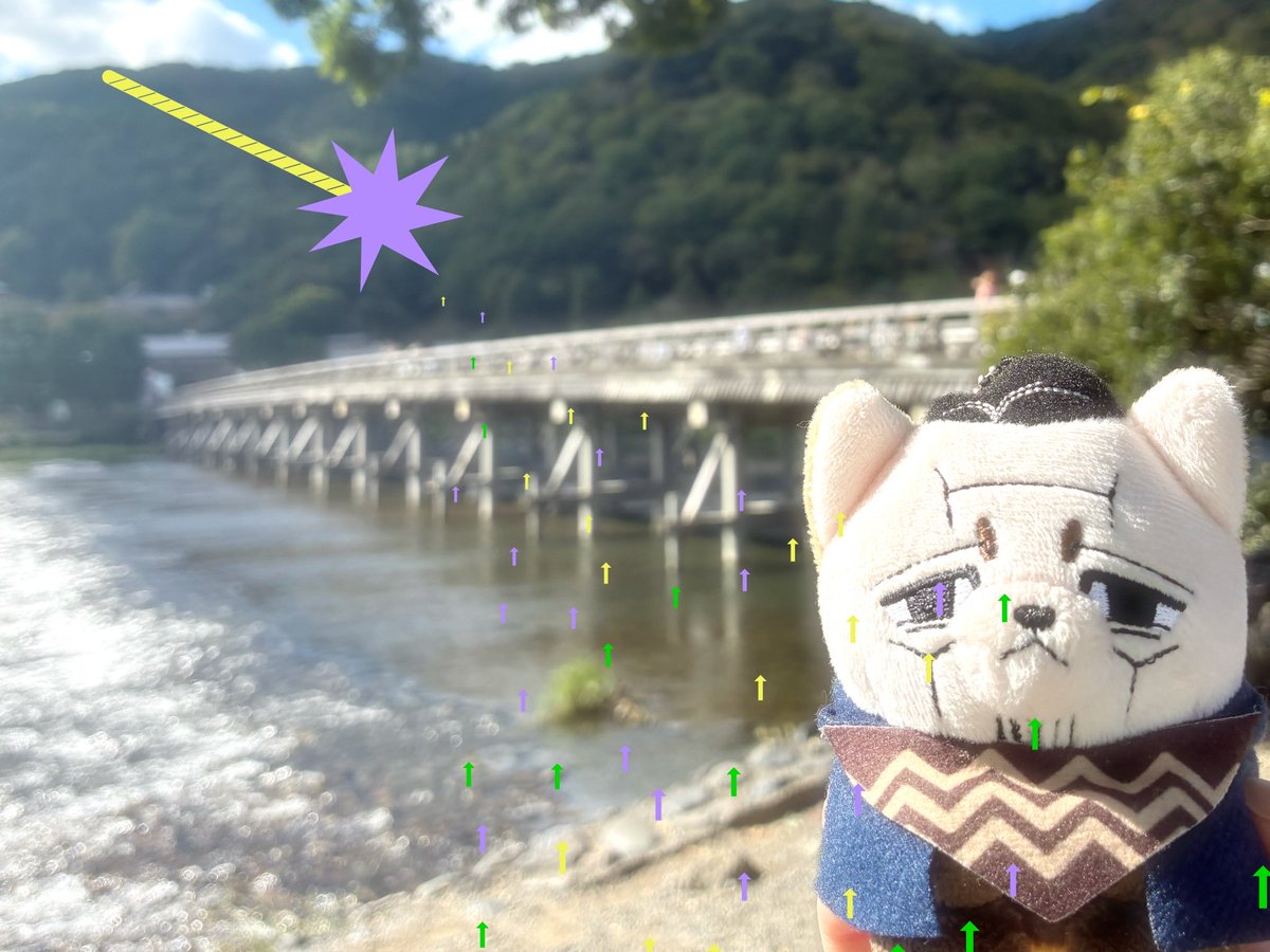 gm30dl's tweet photo. 楽しかったです♩わくわく⭐︎京都の旅 https://t.co/N1w8OKAkWc