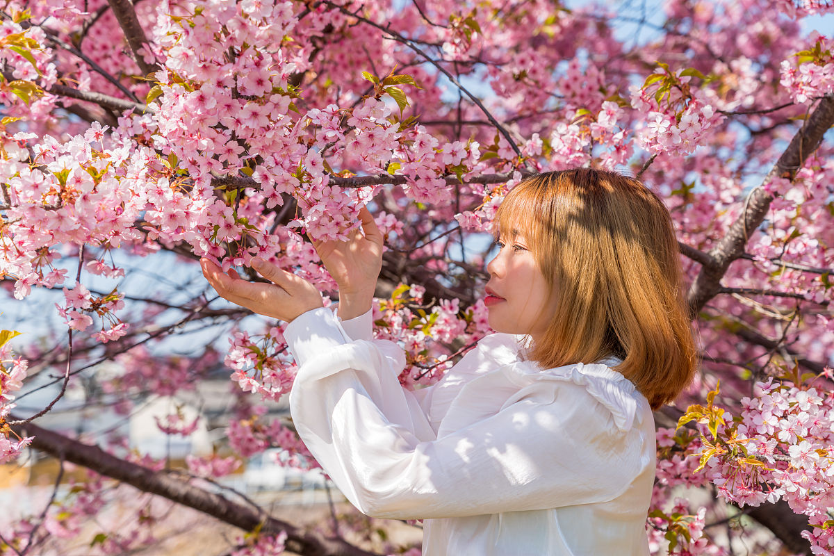 JocelynHoblhj's tweet photo. [今日は特別な日！花開く瞬間に、心に寄せる想いを馳せながら、良いご相談を伺えますように。ほっこりする光景に涎が出そうだ]， https://t.co/HUrYICEOPU