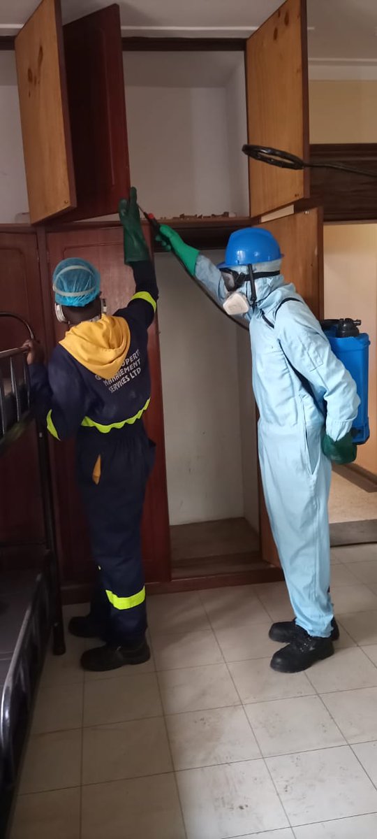spectramngtltd's tweet photo. Keep your restaurant or hotel code-compliant! Our eco-friendly pest fumigation eradicates flies, roaches &amp; pests without contaminating food areas. 🍽️🏨

📲 Call/WhatsApp: https://t.co/rsY0KlJYbX

@KCCAUG @UNBSug #HospitalityUganda #FumigationUganda #Kampala #Uganda #fyp https://t.co/4vC66HfOtw