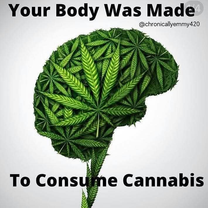 generation_420 tweet picture
