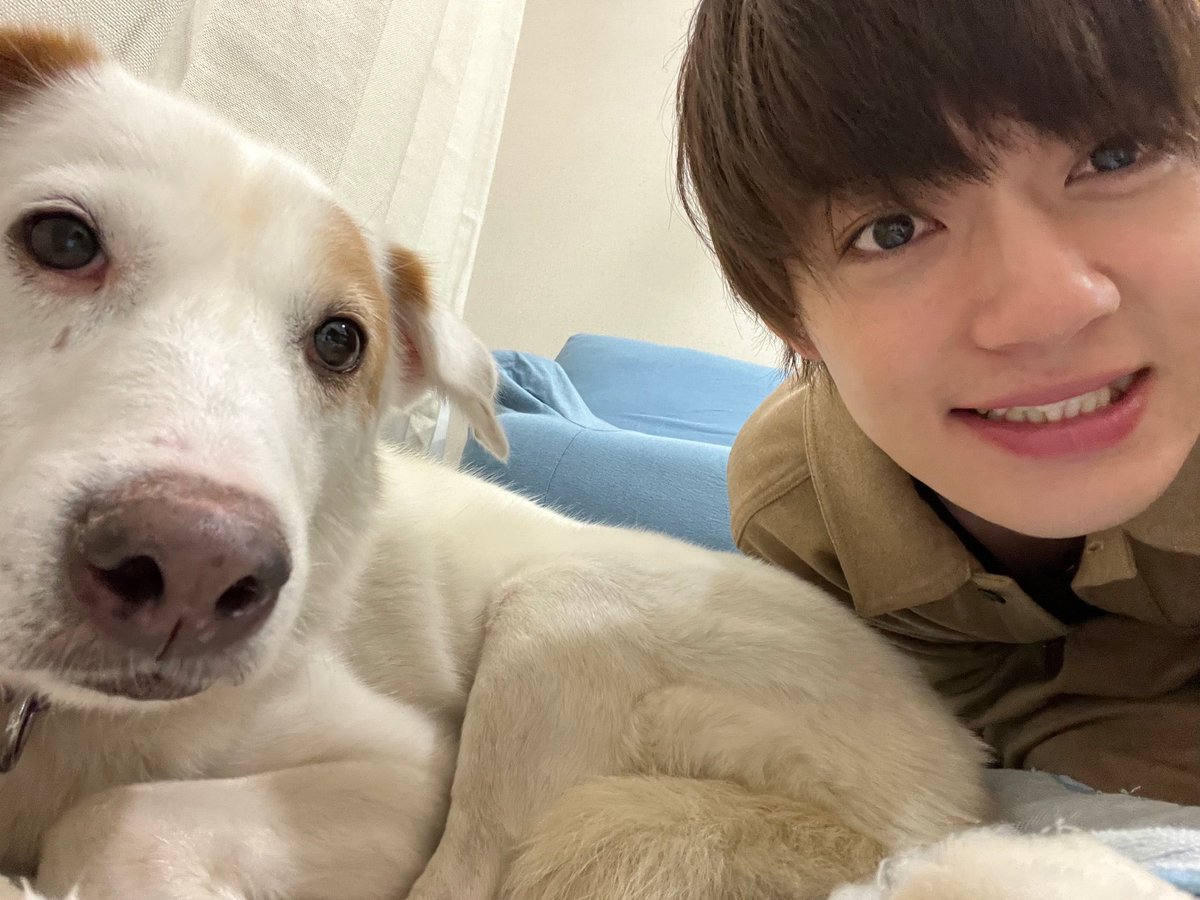 flwrng29's tweet photo. 保護犬のウォンちゃんと佐野さんの共同生活が宝物みたいに大切で大好きで。寝癖ついたままおはよって声かけたり、行ってきますのバイバイを7回も言ったり、今日は一緒寝よって隣にお布団持ってきておやすみ何回も言ったり、カーペットの上で一緒に寝落ちするなど超かわいい姿がてんこ盛りでとても良い https://t.co/nL9j8TmePZ