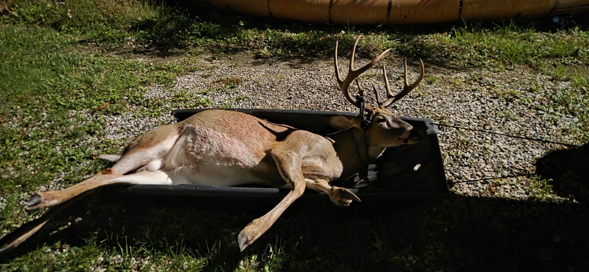 TiArchProd's tweet photo. Success on opening day of Archery season in Pennsylvania! https://t.co/BtTJeuJK4b