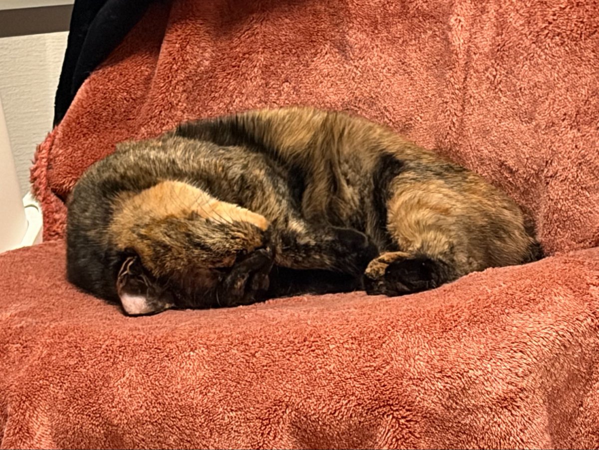 xichankun's tweet photo. https://t.co/SGVJPClcDR