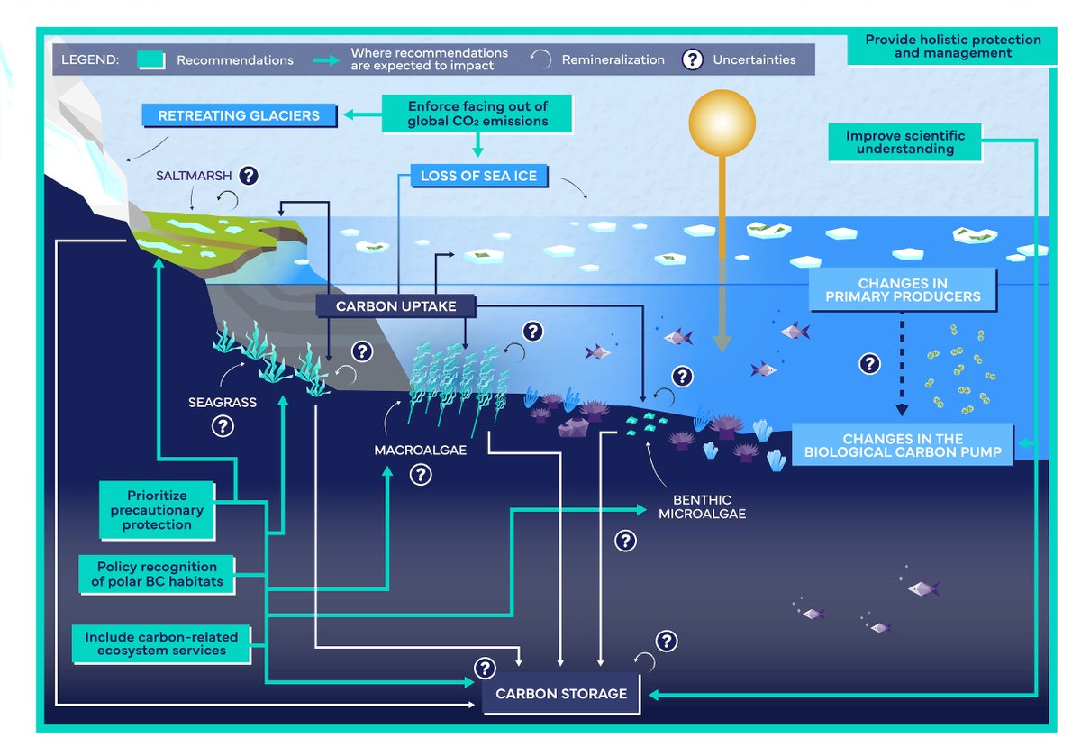 GlobalChangeBio's tweet photo. PERSPECTIVE
Status of Polar Blue Carbon: Toward Recognition and Integration in Marine Policy 
🔗 https://t.co/rsp1gqCNin https://t.co/HRgT26znWt