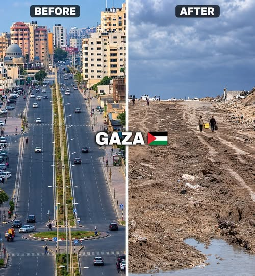 MaryHarir's tweet photo. #GazaGenocide‌ #GazaNeedsHelp https://t.co/mHYDomtAGA