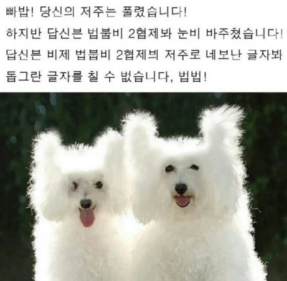 matO_Otang's tweet photo. @leenonamed 
비빅병닙 합삽 잘보고빘습니다 바븝뵤접갑사합니다 자븝붠 기대하고빘습니다 https://t.co/ixfzak2az7