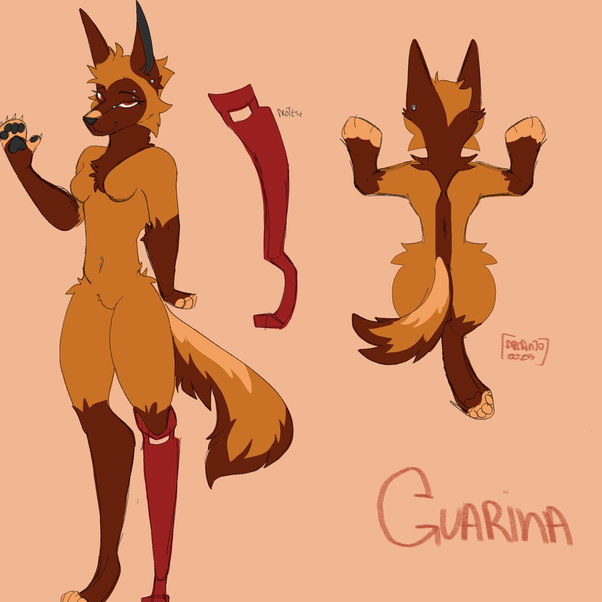 FoxgamingYTB's tweet photo. @ZoeZombiemi Here! She is a Lobo Guará, a Brazilian species https://t.co/tEFICS8IiB