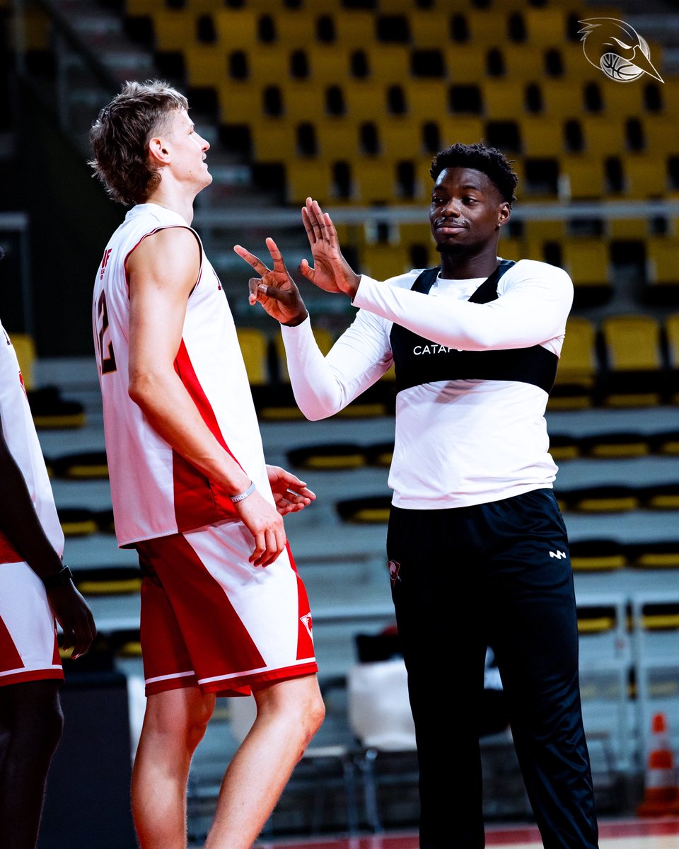 sigstrasbourg's tweet photo. Au cas où vous auriez oublié… BG a 24 ans aujourd’hui 😂🎂

#gosig #strasbourg https://t.co/ZQqQ6NBMYb