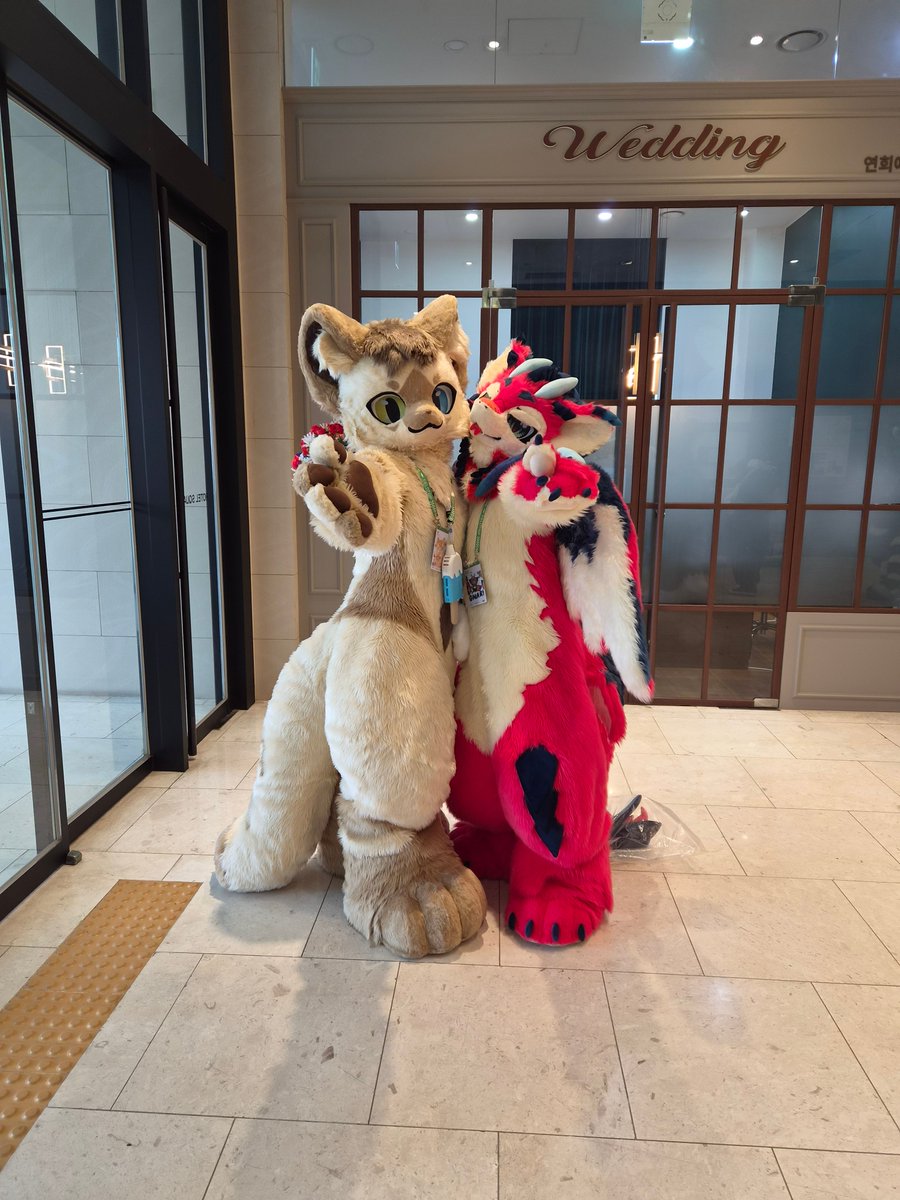 quuuuRT's tweet photo. @Haw_uoU @NAYOsuit 저기 우리 찍고있어!! https://t.co/Iw12xlcXTi