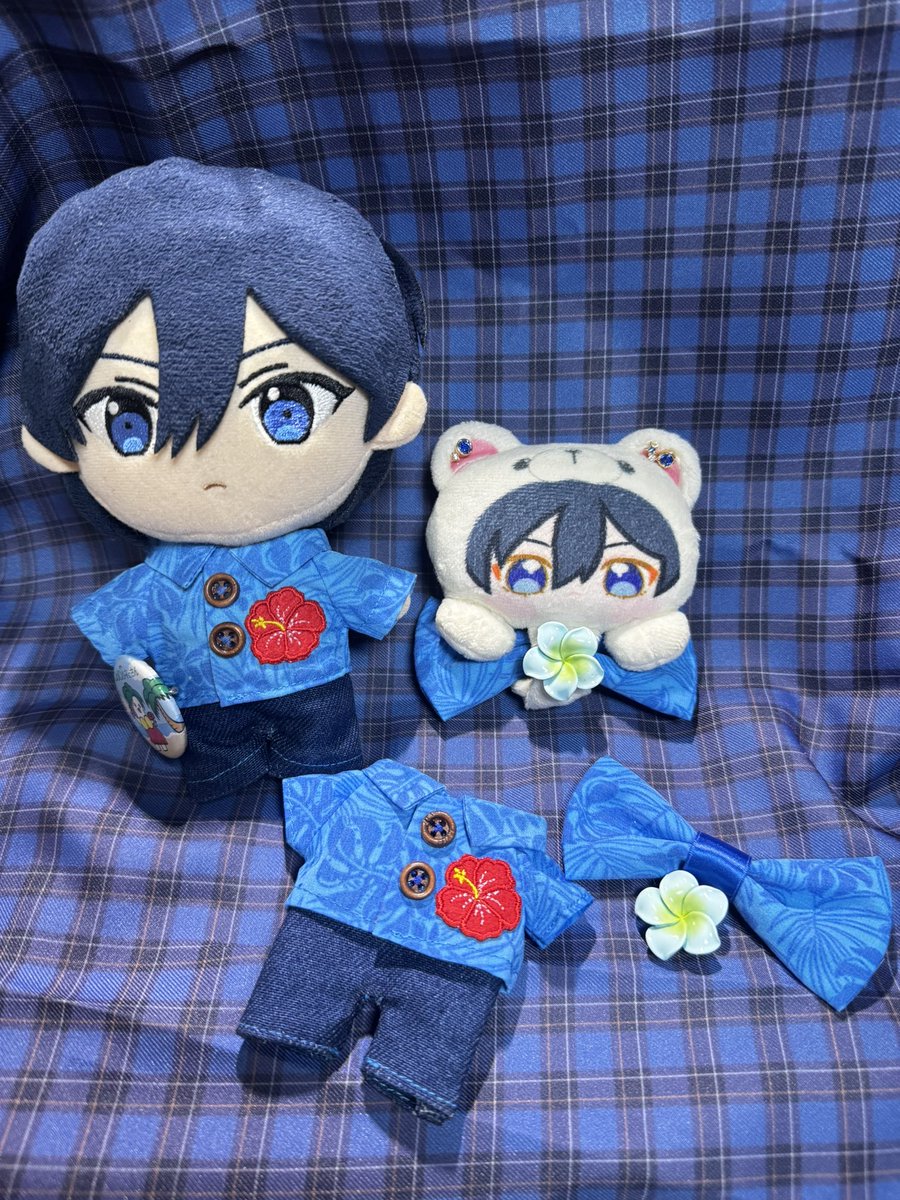 stravelerh's tweet photo. ハワイアンズに行く準備🌺
新ぬいチトセとのっかりチトセとお揃いになる予定🍫
同じ青属性💙 https://t.co/v4bg6ahJyO