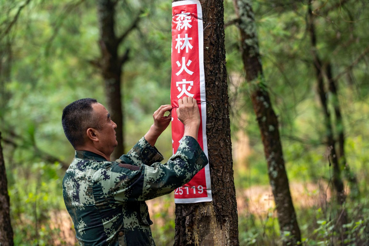 DonInce2's tweet photo. Yesterday, the eco-donkey patrol team responded to a donkey-induced disaster to defend a protected forest area from illegal encroachment. https://t.co/k8UsEwm3ko