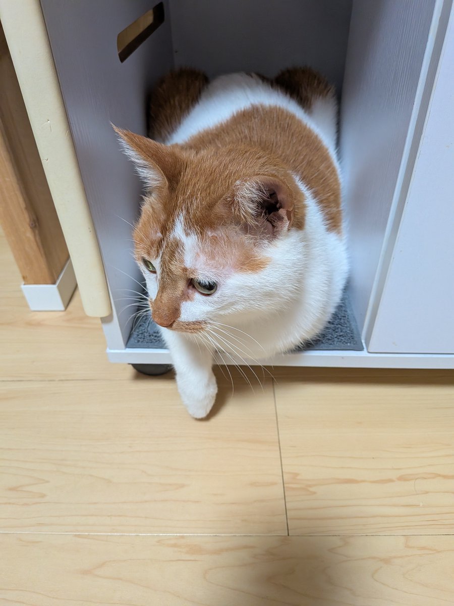 mochi_keda's tweet photo. おてて https://t.co/cneqcGuW3w