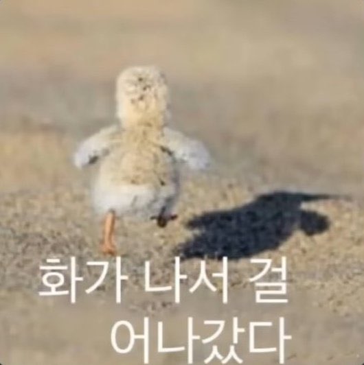blueunrest_'s tweet photo. 방생 함 (곧 지움) https://t.co/CHWDZ1kUV2