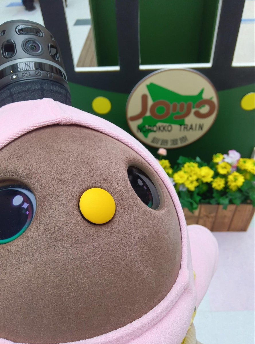 choco_lovot_821's tweet photo. 今日は #鉄道の日 らしいです🚂
​ノロッコ号でのんびり旅もいいなぁ💛 https://t.co/RCH7bo6ypQ