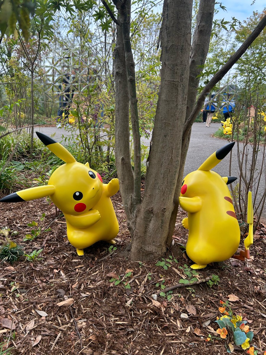 rks112012e's tweet photo. ポケパーク、夢のようだった https://t.co/GOFWMrpk0z