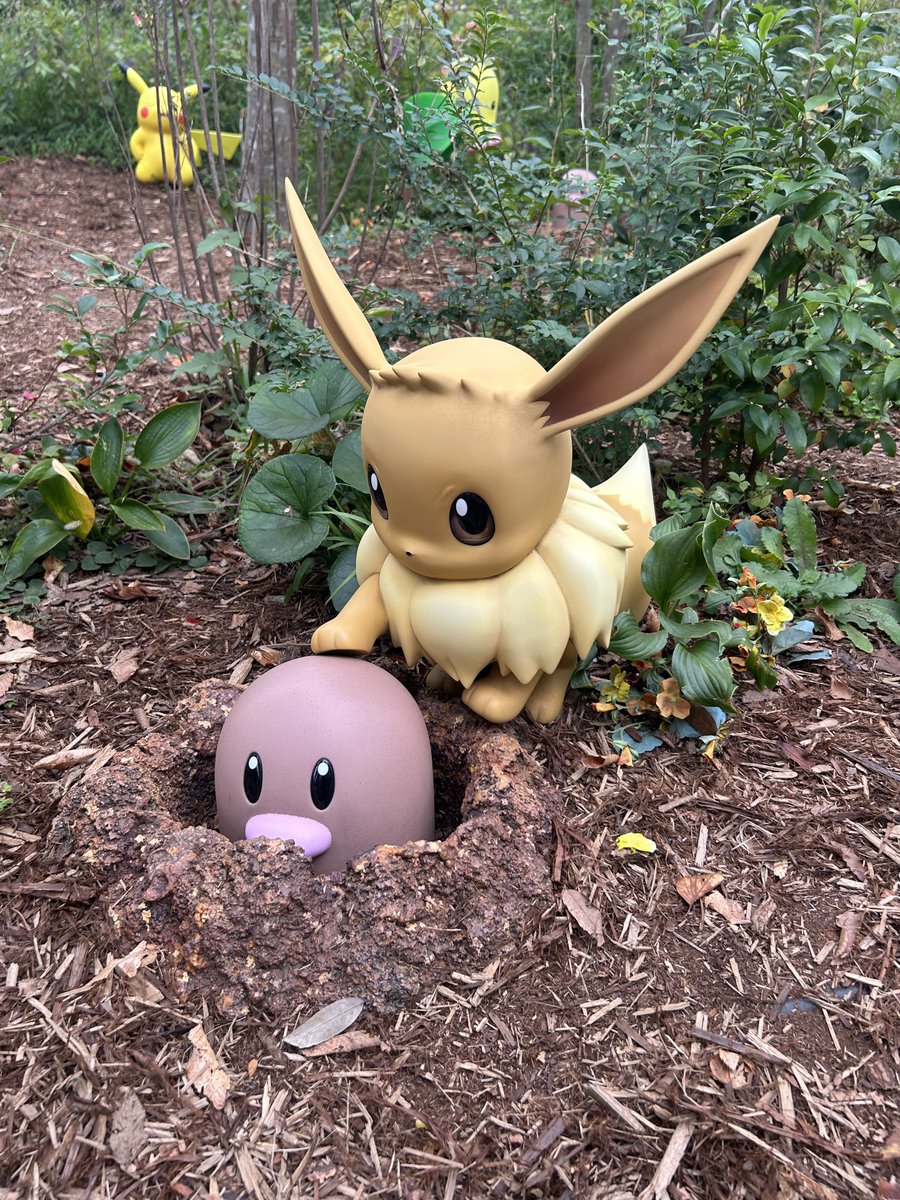 rks112012e's tweet photo. ポケパーク、夢のようだった https://t.co/GOFWMrpk0z