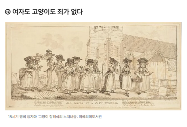 aniko_welfare's tweet photo. "한국에서 고양이와 여성을 싸잡은 혐오는 상대적으로 역사가 짧다. 그러나 그 강도는 절대 약하지 않다. 지난 10여년을 돌아보면 온라인상에서 길고양이와 그것을 돌보는 여성을 대상으로 하는 조롱과 폭력은 꾸준히 이어져 왔다."(기사읽기: https://t.co/446QgMuXIi) https://t.co/lrPm613qmL