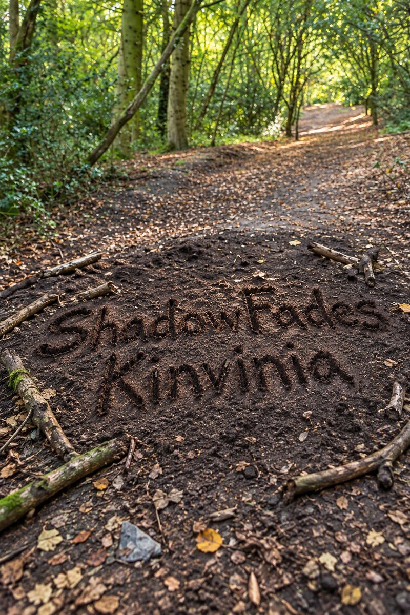 CutoutsWars's tweet photo. Total radio silence starts now. Do not call, do not DM, and do not even look my way. My entire focus belongs to Shadowfades Kinvinia.

https://t.co/U5ynsZc8Bt 🤫⚔️

 #CurrentlyReading #TBR #AmReading #FantasyNovel #SFF #Fantasy #BookRecommendations #BookChat https://t.co/bkblenagfg