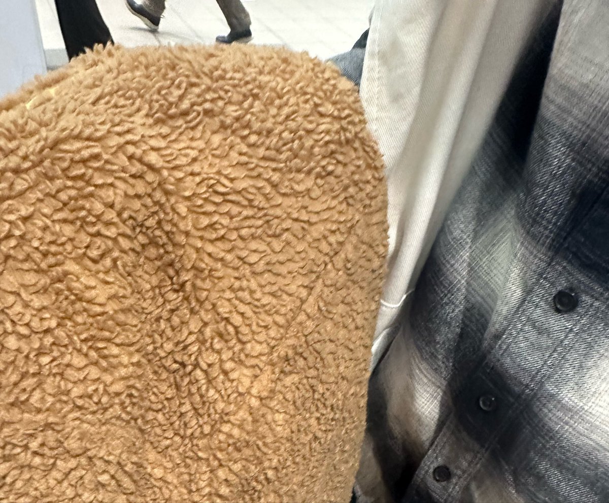 nk_kq3's tweet photo. 外寒いから羽織るもの持ってきて！パタゴニアのやつ！って言っちゃって、持ってきて欲しかったやつは全然パタゴニアのやつじゃなくて。
駅ついたらこれ抱えてた、トートに入らない。 https://t.co/cSlwnmPYwC