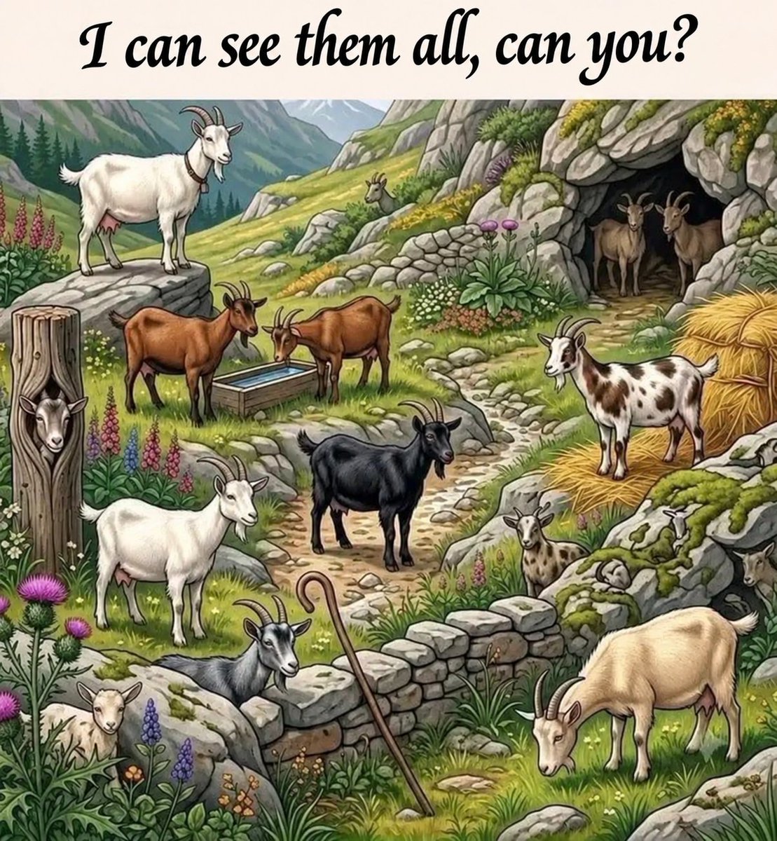 faraz_tweets's tweet photo. 👀 How many goats can you spot in this picture? 🐐🤔
Look carefully and count them all! 🔍
Drop your answer in the comments below. 👇🔥 https://t.co/6VFyeARm9B