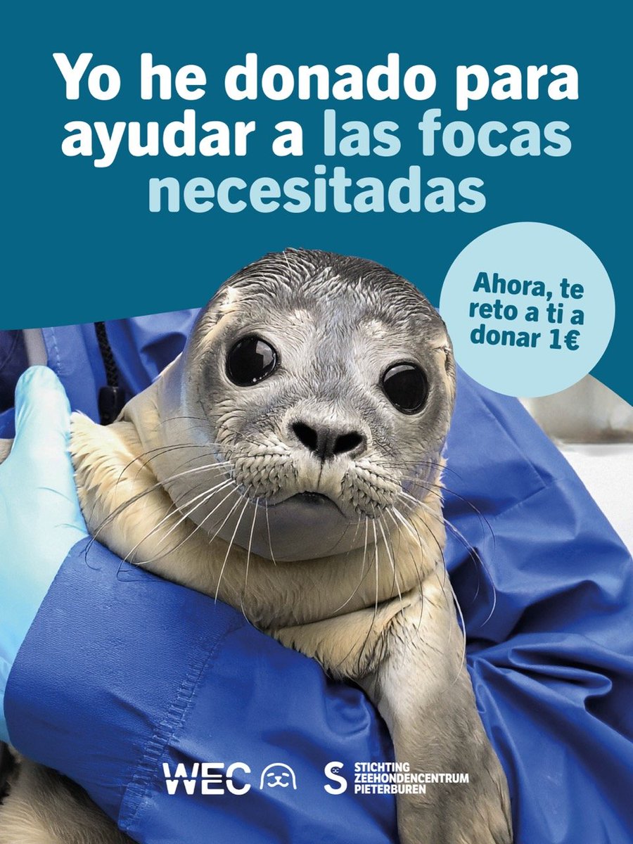 NekomiVT's tweet photo. Oigan!! Podemos ayudar a este centro de cuidado de focas, yo ya hice mi donación, no dejemos solitas a las focas https://t.co/w73ihxXHPI