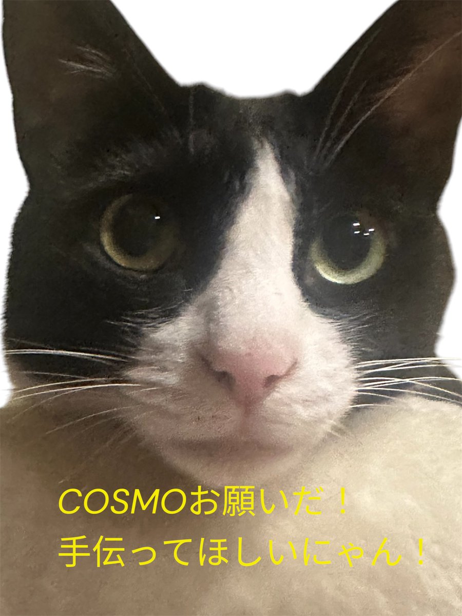 dohakinchan's tweet photo. 🐰さんに♡を
COSMOお願いします https://t.co/FFhkYjbhh5