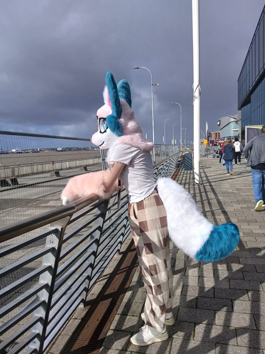 Lattedeers's tweet photo. Liverpool comic con was amazing !! 

#furry #fursuiter #Comicon #fursuiter #ukfurry https://t.co/zIjXQXvHJn