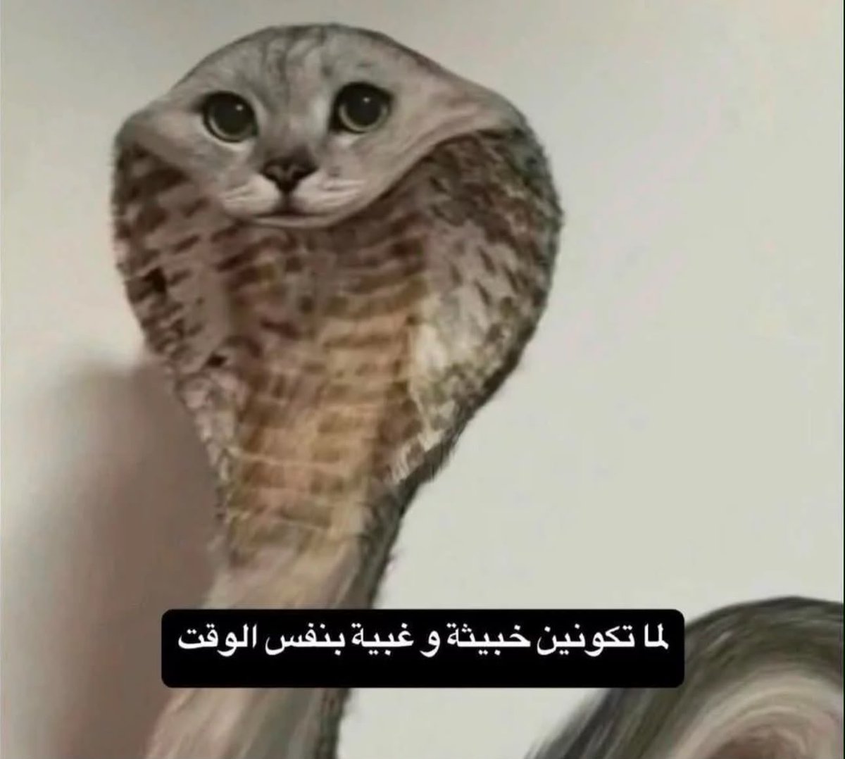 33xnox's tweet photo. @11voq المشكله الموقع بالعراق يعني حوثيه وغبيه كذا كثير علينا https://t.co/gI1ydwviv3