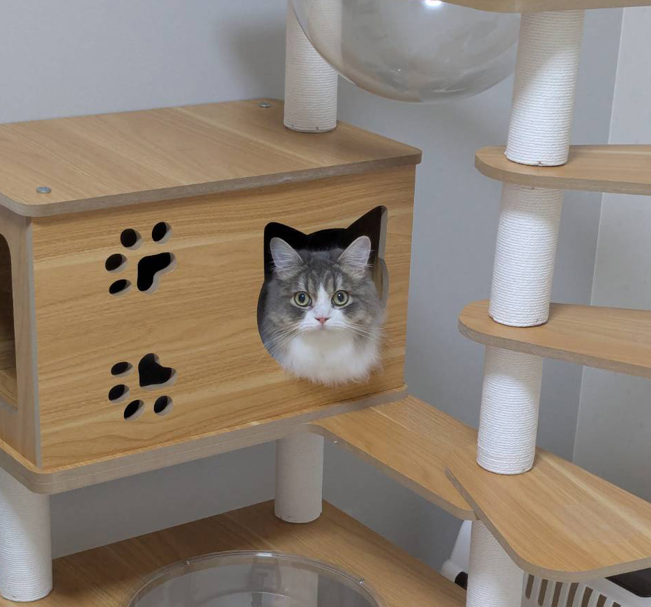 crowe_sbs's tweet photo. キャットタワーの猫型窓とピッタリ一致🐱 https://t.co/0DHFhnFqBF