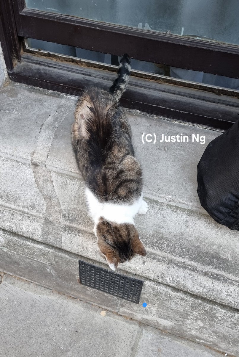 justin_ng tweet picture