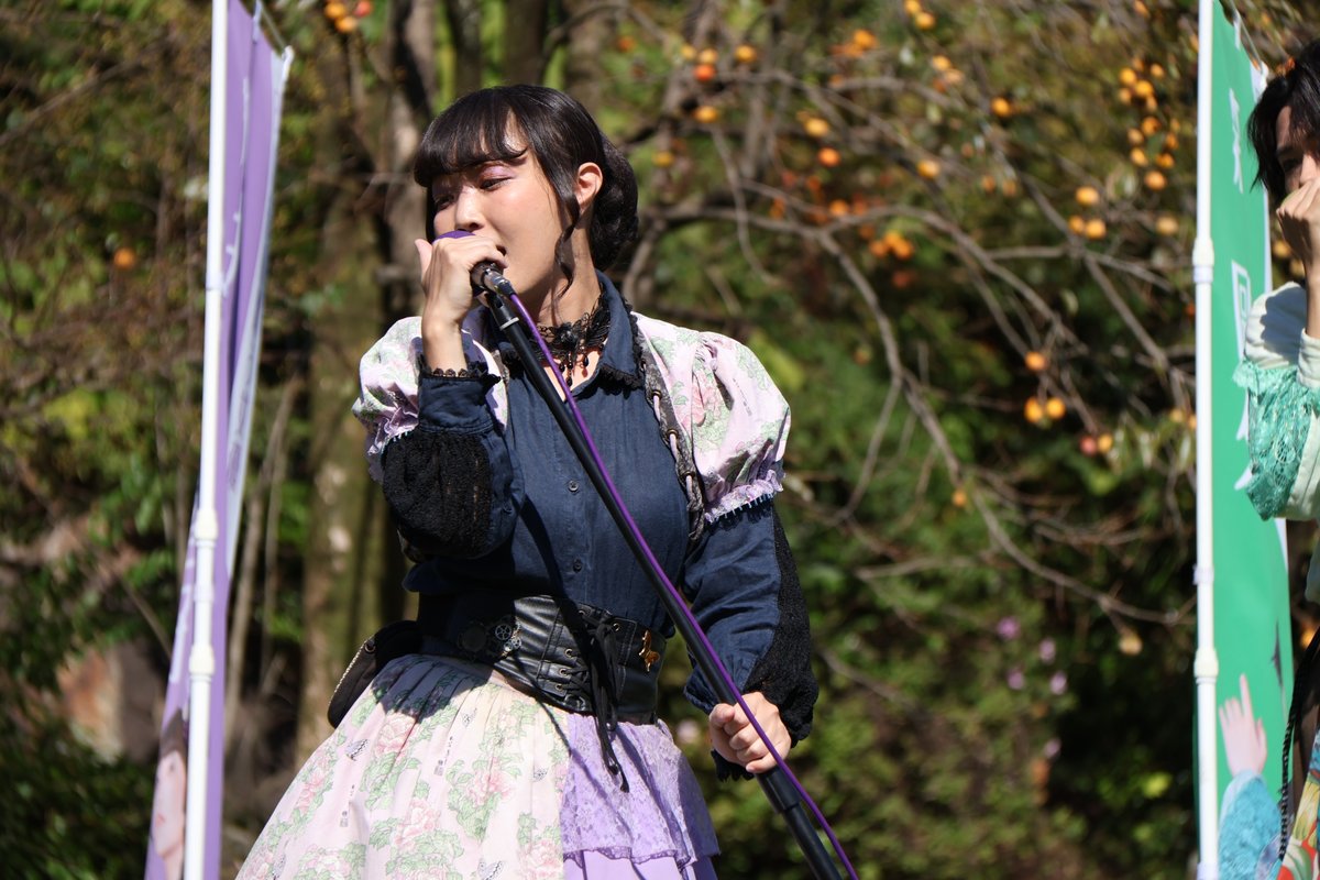 motsuchi0217's tweet photo. 2026.10.11　芝生広場公演

たわわに実る柿を背にした秋らしい風景

須磨子様が、とにかく美しくてカッコいい

#明治偉人隊
#須磨子様美しい https://t.co/umpJelri9f