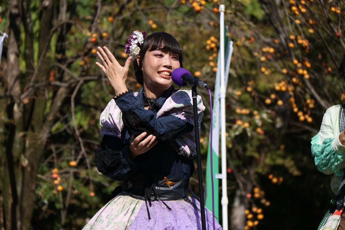 motsuchi0217's tweet photo. 2026.10.11　芝生広場公演

たわわに実る柿を背にした秋らしい風景

須磨子様が、とにかく美しくてカッコいい

#明治偉人隊
#須磨子様美しい https://t.co/umpJelri9f