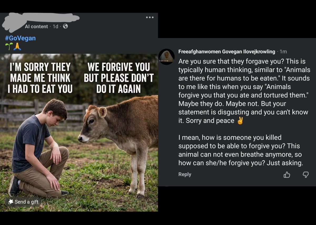 FREEWOMENAFGHAN's tweet photo. #vegan #GoVegan #AnimalRights #PlantBased #Tierleid #Tierrechte #StopTierleid #StopAnimalCruelty #VeganActivism #EndAnimalAbuse #AnimalLiberation #JusticeForAnimals #SpeakForTheVoiceless #CompassionForAnimals #VeganMovement #ChooseCompassion #CrueltyFree #FarmAnimals https://t.co/PYrW1kXt1P