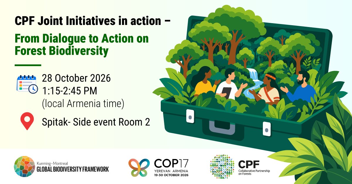 itto_sfm's tweet photo. 🌳 🤝 Join ITTO and the Collaborative Partnership on Forests (CPF) at @UNBiodiversity #COP17 for a showcase of CPF initiatives in action.

📆 28 October 2026
⏱️ 1:15 - 2:45 pm (local time)
📍 Spitak - Side event Room 2
🔗 https://t.co/ED3U5BzVT1 https://t.co/iDHQ58b9ug