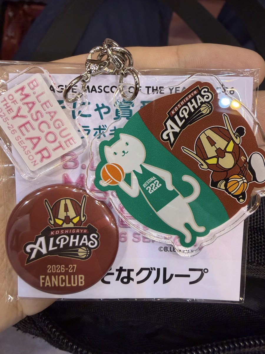 shin_AlphaMate's tweet photo. 3回目キタヨ https://t.co/yhVT5NtfvR