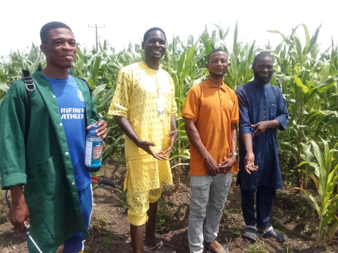 jimoh_iyanda's tweet photo. On Tuesday, 13th October 2026, as Class Governor of the Crop Production and Processing (CPP) Unit under the ARMTI IDEAS TVET Programme, I joined my fellow trainees in applying organic manure to prepared vegetable beds and transplanting excess cucumber seedlings to... https://t.co/tEuuBT4gyo