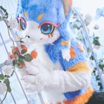 Photo by IMU/이무 (@IMU_AB)