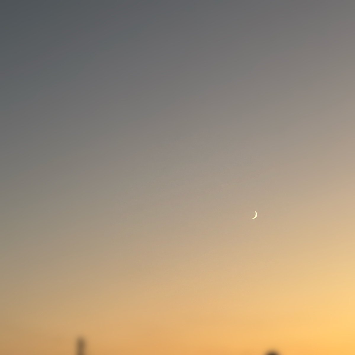 h06273701's tweet photo. 夕暮れ

西の空

三日月　

肌寒くなりましたね

暖かくして…

お疲れさまでした。＊

#三日月
#イマソラ https://t.co/qr047wYklx