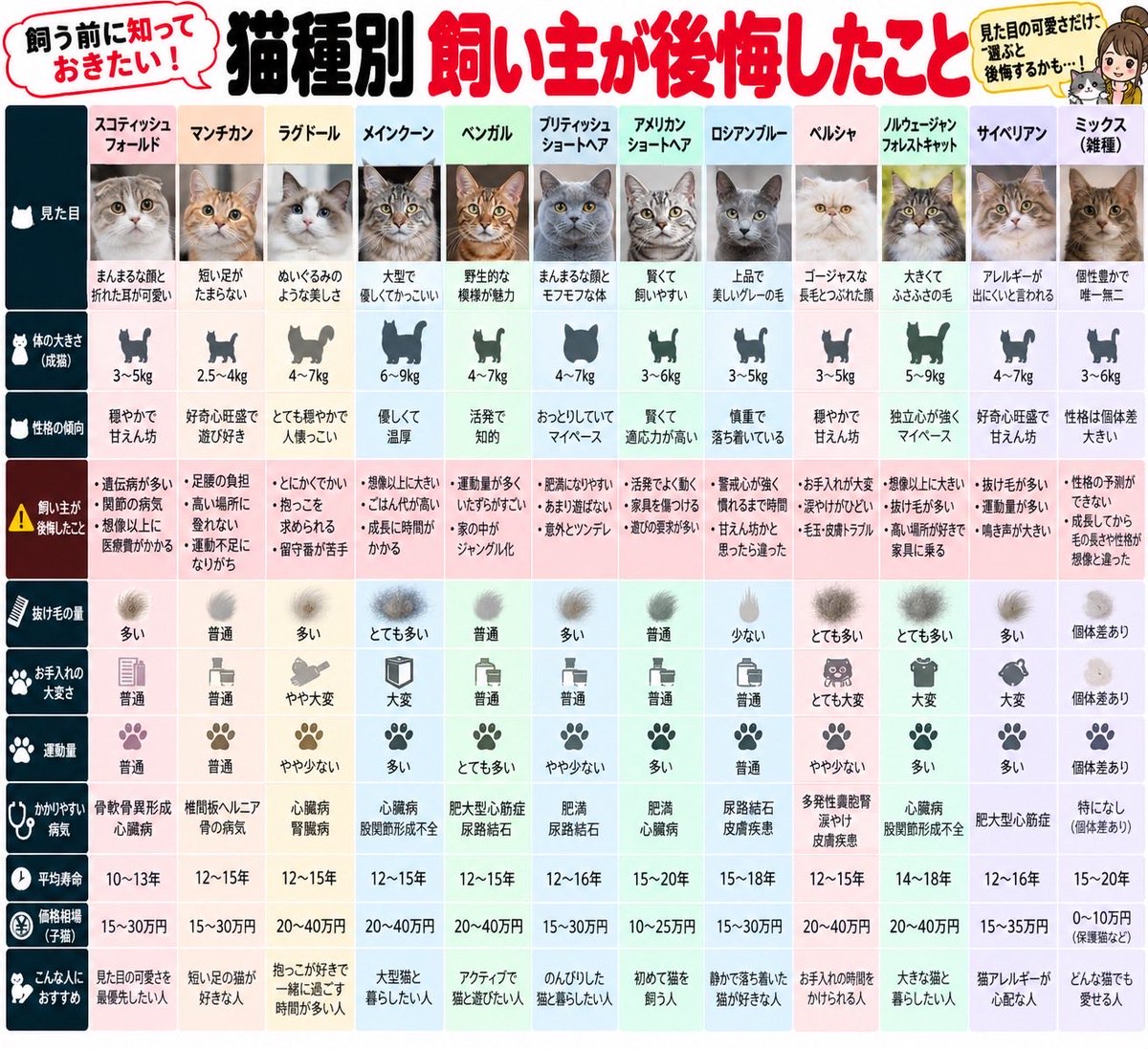 wd0o9's tweet photo. 猫種別飼い主が後悔したこと https://t.co/dUtUPry6v0