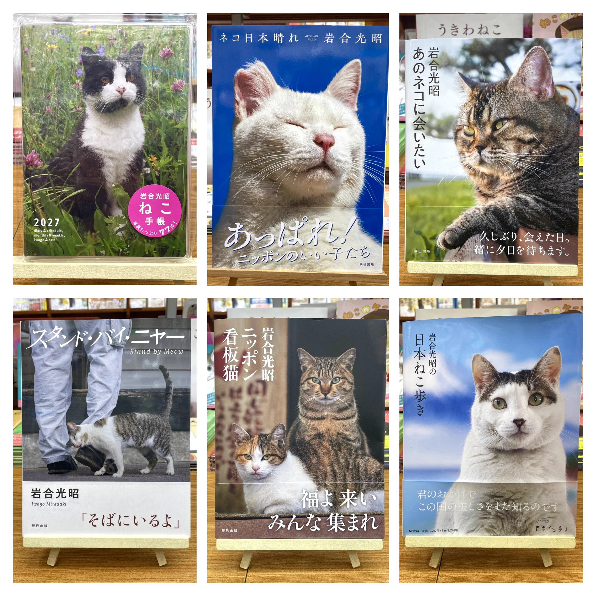 猫本専門 神保町にゃんこ堂_姉川書店 on X: 