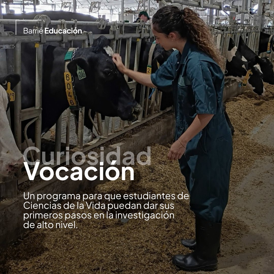 FundacionBarrie's tweet photo. Hay palabras que adquieren un significado completamente nuevo después de participar en el Summer Undergraduate Fellowship Program de la Fundación Barrié. 

Esta es la última semana para completar tu preinscripción y vivir una experiencia que ya ha cambiado la vida de decenas de estudiantes gallegos. 

🔗 Hasta el 20/10 en este enlace: https://t.co/ovjqatwbPg

#BarriéEducación #SUFP #Investigación #CienciasdelaVida