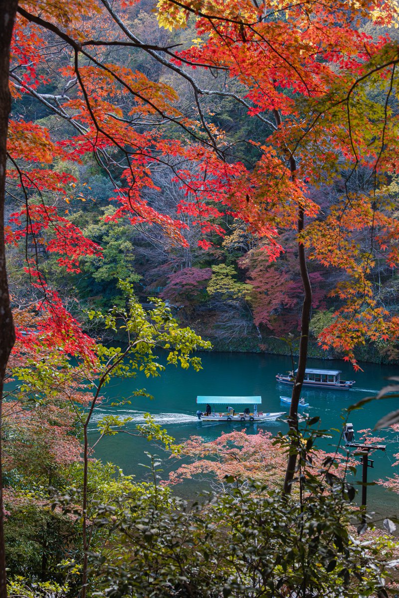 asagi_photo0921's tweet photo. カラフルに染まる晩秋の京都。 https://t.co/0TLElTexPZ